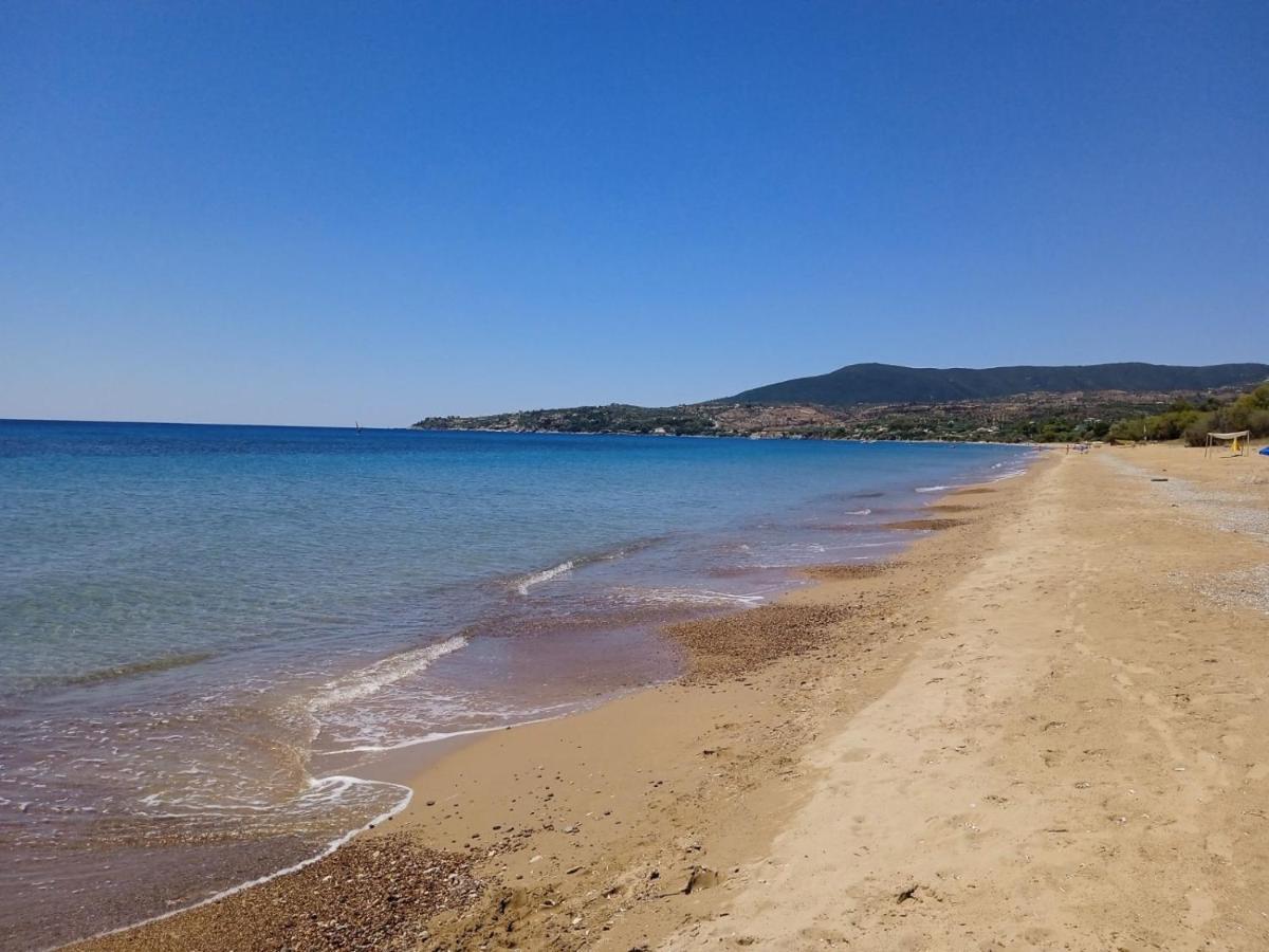 Koroni Stone House, Newly Built Studios By The Sea Экстерьер фото